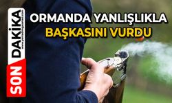 Ormanda yanlışlıkla başkasını vurdu