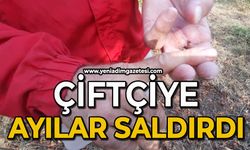 Çiftçiye ayılar saldırdı