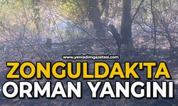 Zonguldak'ta orman yangını