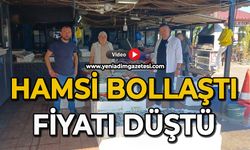 Hamsi bollaştı fiyatı düştü