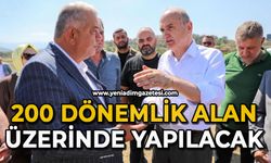 200 dönemlik alan üzerinde yapılacak