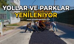 Yollar ve parklar yenileniyor