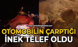 Otomobilin çarptığı inek telef oldu