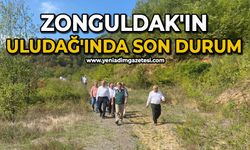 Zonguldak'ın Uludağ'ında son durum
