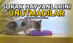 Sokak hayvanları unutmadılar