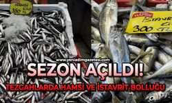 Sezon açıldı: Tezgahlarda hamsi ve istavrit bolluğu