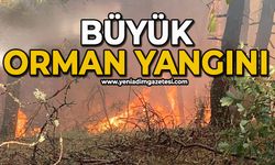 Büyük orman yangını