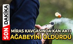 Kardeş kavgası kanlı bitti: 1 ölü, 1 gözaltı