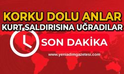 Korku dolu anlar: Kurt saldırısına uğradılar