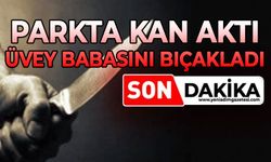 Parkta kan aktı: Üvey babasını bıçakladı