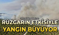 Orman yangını sürüyor: Kuvvetli rüzgar yangının enerjisini arttırdı
