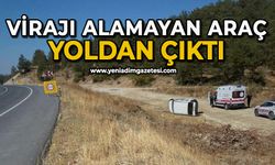 Virajı alamayan araç yoldan çıktı