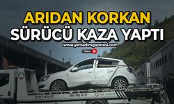Arıdan korkan sürücü kaza yaptı