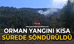 Orman yangın kısa sürede söndürüldü