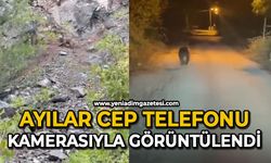 Ayılar cep telefonu kamerasıyla görüntülendi