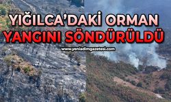Yangın yaklaşık 1 hektarlık alanda etkili oldu