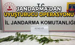 Jandarma’dan uyuşturucu operasyonu