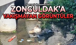 Zonguldak’a yakışmayan görüntüler