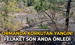 Ormanda korkutan yangın! Felaket son anda önledi