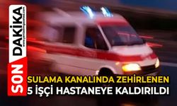 Sulama kanalında zehirlenen 5 işçi hastaneye kaldırıldı