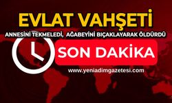 Evlat vahşeti: Annesini tekmeledi, ağabeyini bıçaklayarak öldürdü