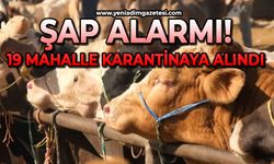 Şap alarmı: 19 mahalle karantinaya alındı