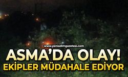 Asma'da olay: Ekipler müdahale ediyor