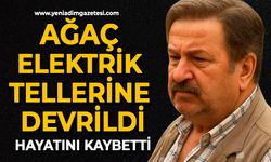 Ağaç Elektrik Tellerine Devrildi, Canından Oldu