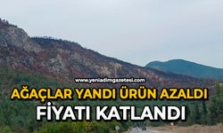 Ağaçlar yandı ürün azaldı fiyatı katlandı