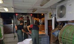 Bir ayda 198 ton hamsi çıkışı oldu