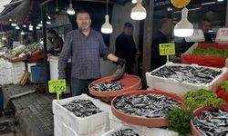 Hamsi 100 liradan alıcı buldu