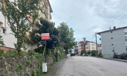 Hatalı parklara karşı yeni düzenleme