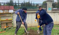Orman yangınları sonrası yola çıktı, 71. fidanını Bolu’da dikti