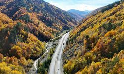 Sonbaharla ormanların mest eden buluşması
