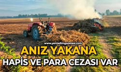 Anız yakana hapis ve para cezası var