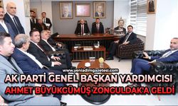 AK Parti Genel Başkan Yardımcısı Ahmet Büyükgümüş Zonguldak'a geldi
