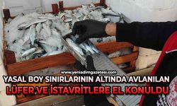 Yasal boy sınırlarının altında avlanılan lüfer ve istavritlere el konuldu