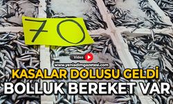 Kasalar dolusu geldi: Bolluk bereket  var