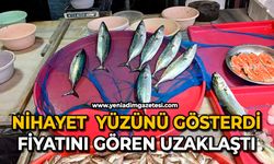 Nihayet  yüzünü gösterdi: Fiyatını gören uzaklaştı