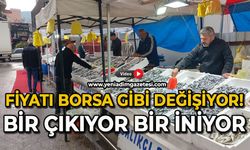 Fiyatı borsa gibi değişiyor: Bir çıkıyor bir iniyor!