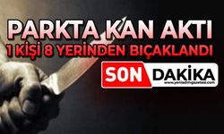 Parkta kan aktı: 1 kişi 8 yerinden bıçaklandı