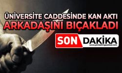 Üniversite caddesinde kan aktı: Arkadaşını bıçakladı