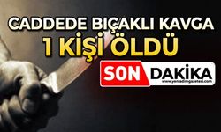 Caddede bıçaklı kavga: 1 ölü