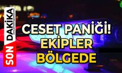 Ceset paniği: Ekipler bölgede