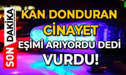 Kan donduran cinayet: Eşimi arıyordu dedi, vurdu!