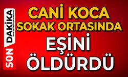 Cani koca sokak ortasında eşini öldürdü