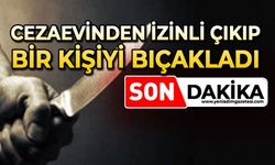 Cezaevinden izinli çıkıp bir kişiyi bıçakladı