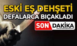 Eski eş dehşeti: Kucağındaki bebeğe aldırmadan defalarca bıçakladı