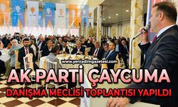 AK Parti Çaycuma İlçe Danışma Toplantısı yapıldı