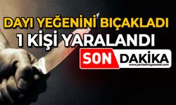Dayı yeğenini bıçakladı: 1 kişi yaralandı